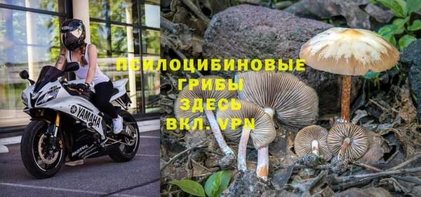 бошки Козловка