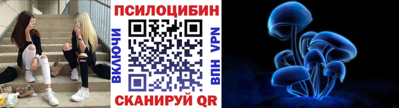 Псилоцибиновые грибы Cubensis  Нурлат 